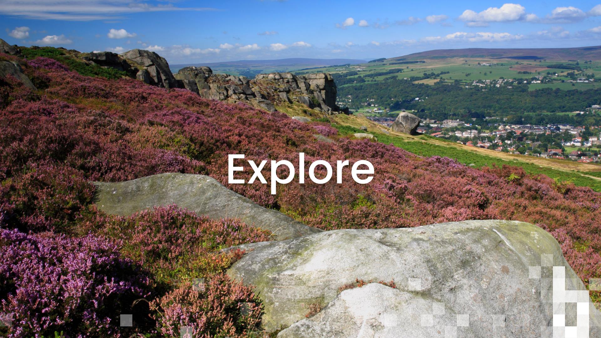 View from Ilkley Moor across the heather.
